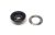 Fekete ringli 5 mm